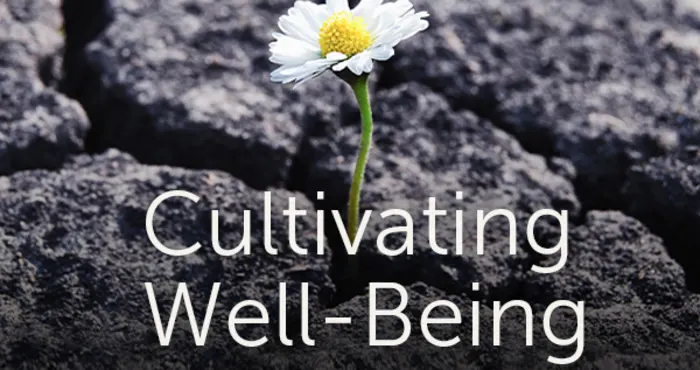 How to improve your overall well-being