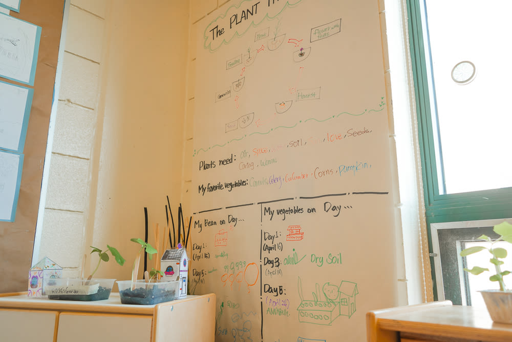 A classroom wall features a diagram of the Plant Cycle, showcasing the children’s favourite vegetables and plants.