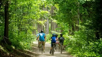 Image 1- Bikers