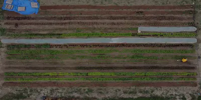 Ariel shot of a farm. Rows and rows of crops.