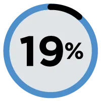 19%