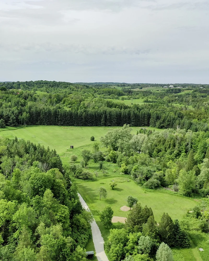 Cedar Glen fields