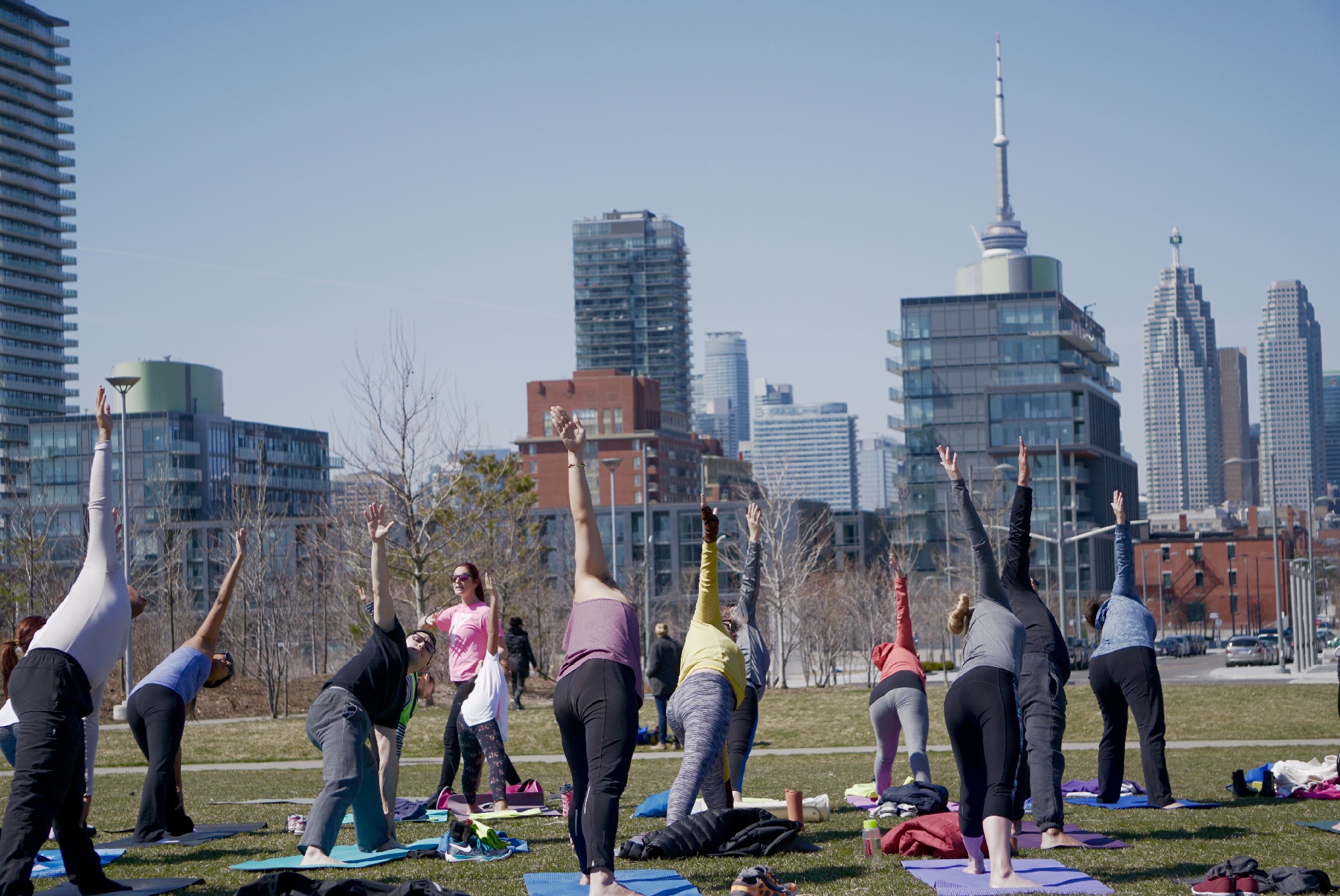 CN Tower backdrop