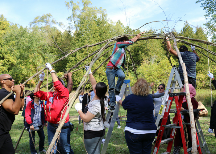 Approximately 8 people bend long wood branches and tie them together to form skeleton of Wiigiwaam